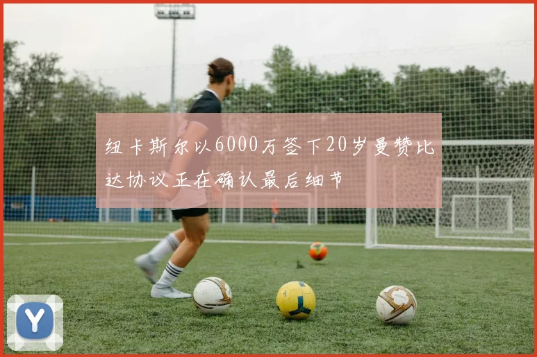 纽卡斯尔以6000万签下20岁曼赞比达协议正在确认最后细节